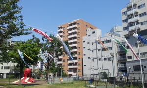 20130428_102218.jpg